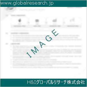グローバルリサーチ調査資料のイメージ